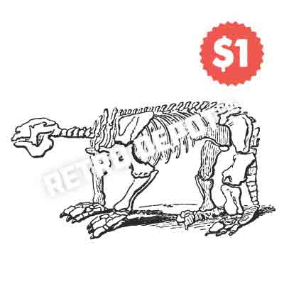 Vintage Vector Dinosaur Skeleton