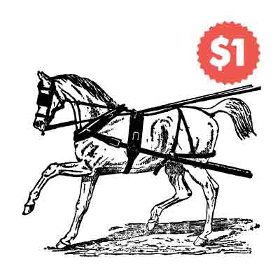 Vintage Vector Horse Illustration